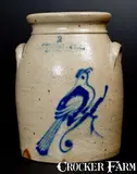 F. Laufersweiler, Scarce F LAUFERSWEILER / EMPIRE CITY POTTERY / NY Stoneware Bird Jar, circa 1880, Stoneware