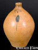 Julius Norton, 2 Gal. JULIUS NORTON / BENNINGTON, VT Stoneware Jug w/ Floral Decoration, circa 1840, Stoneware