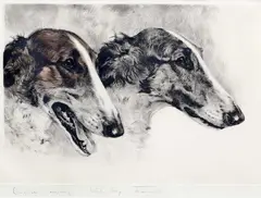 Kurt Meyer-Eberhardt, Borzois, pencil Coloured engraving