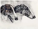 Kurt Meyer-Eberhardt, Borzois, pencil Coloured engraving