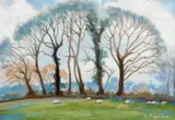 Anthony Proctor, Tree Study, 1989, Oil on board