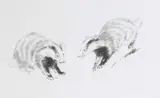 Eileen Soper, Twenty Original Drawings In A Folio