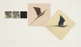 Osmo Rauhala, Untitled, etching