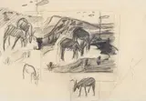 Reidar Särestöniemi, Untitled, drawing