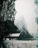 Untitled by Paola Suhonen, offered Feb 2026