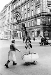 Franz Hubmann, Unusual plant transport, Vienna 1954, 1954, Vintage silver print on single-weight glossy Agfa paper