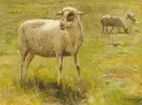 "Studie dreier Schafe" by Hugo Mühlig, Öl auf Karton, sold May 2016