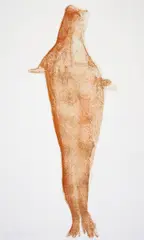 Robbe by Joseph Beuys, 1981, Farblithografie auf Bütten, sold Dec 2016