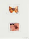 Wolf Vostell, Butterfly TV