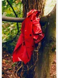 "red coat" by Wolfgang Tillmans, C-Print auf Fujicolor-Papier, sold Jun 2016