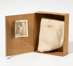 Poussière de Poussière - de l'effet Otto Dix (Portrait de journaliste Sylvia von Hagen) by Robert Filliou, Pappkarton mit Staubtuch und einem im Innendeckel montierten Polaroidfoto, sold Jun 2016