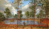 John Hudson, Lakeside Forest -, Oil on canvas