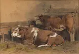Aladár Edvi Illés, Cows, Pastel, watercolor, gouache and ink on paper laid to board