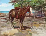 Frank Tenney Johnson, Blazed Faced Pony -