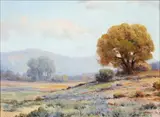 Angel Espoy, California Hills, Oil on canvas