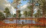 John Hudson, Lakeside Forest -, Oil on canvas