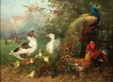 Julius Scheuerer, Barnyard Fowl, Oil on wood panel