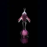Émile Gallé, RARE COROLLA LAMP, 1902-1903, 1902, acid-etched and fire-polished glass