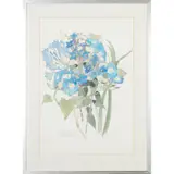 Mary Newberry Sturrock, IPOMOEA, AGAPANTHUS, G. ASCLEPIADA