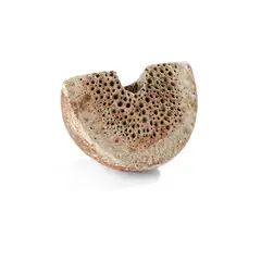 Alan Wallwork, Crescent Form and Seed Pod