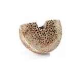 Alan Wallwork, Crescent Form and Seed Pod