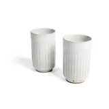 Rupert Spira, Pair of beakers