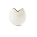 John Ward, Vessel