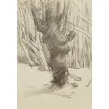 Peter Coker, 'STUDY OF TREES', 1958, 1958
