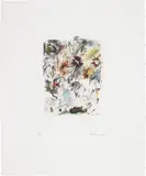 Richard Hamilton, Multi-coloured flower-piece, 1974, Aquatint in colors, on Rives BFK paper, with full margins