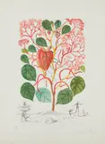 Begonia (Anacardium recordans), from Flordali® (Flora Dalinae) by Salvador Dalí, 1968, Etching with drypoint in colors, on Arches paper, with full margins, sold Apr 2017