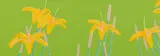 Alex Katz, Day Lillies, 1993, Screenprint in colors, on wove paper, the full sheet