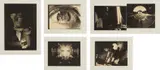 Robert Longo, Mnemonic Pictures, 1994, The complete set of 24 photo-lithographs in colors, on cream wove paper, with full margins, all contained in the original black linen-covered box