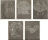 Furrows by Terry Winters, 1989, The complete set of five woodcuts in colors, on heavy wove paper, with full margins, all contained in the original hand-, offered Apr 2017