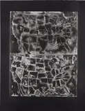 Jasper Johns, Two Maps II