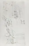 Robert Rauschenberg, Peanuts, from Crops, 1973, Screenprint and solvent transfer in colors, on wove paper, the full sheet