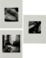 Untitled (New York); It must be time for lunch now; and House #3, Providence, Rhode Island by Francesca Woodman, 1979-80, Three gelatin silver prints, on wove paper, with full margins, sold Apr 2017