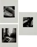 Untitled (New York); It must be time for lunch now; and House #3, Providence, Rhode Island by Francesca Woodman, 1979-80, Three gelatin silver prints, on wove paper, with full margins, sold Apr 2017