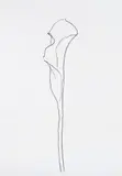 Calla Lily III, from Series of Plant and Flower Lithographs by Ellsworth Kelly, 1983-85, Lithograph, on Rives BFK paper, the full sheet, sold Oct 2017