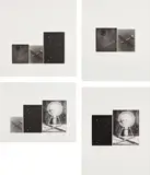 Vija Celmins, Concentric Bearings A, B, C, and D