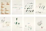 Cy Twombly, Natural History Part II: Some Trees of Italy, 1975-76, The complete set of eight collotype and lithographs in colors, on Fabriano Bütten paper, the title print with a transparent paper overlay, the full sheets, with the original portfolio bound in green Zerkall-Bütten paper