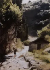 Ravine by Gerhard Richter, 1997, Cibachrome photograph, on paper mounted between Plexiglas plates (as issued), sold Oct 2017