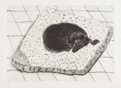Dog Etching No. 15, from Dog Wall by David Hockney, 1998, Etching, on Somerset paper, with full margins, sold Oct 2017