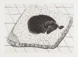 David Hockney, Dog Etching No. 15, from Dog Wall, 1998, Etching, on Somerset paper, with full margins