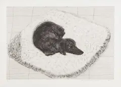 Dog Etching No. 12, from Dog Wall by David Hockney, 1998, Etching, on somerset paper, with full margins, sold Oct 2017