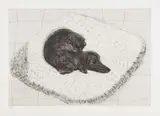David Hockney, Dog Etching No. 12, from Dog Wall, 1998, Etching, on somerset paper, with full margins
