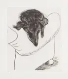 David Hockney, Dog Etching No. 10, from Dog Wall, 1998, Etching, on Somerset paper, with full margins