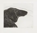 David Hockney, Dog Etching No. 6, from Dog Wall, 1994, Etching, on Somerset paper, with full margins