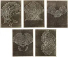Terry Winters, Furrows, 1989, The complete set of five woodcuts in colors, on heavy wove paper, with full margins, all contained in the original hand-made paper portfolio designed by the artist and cardboard box
