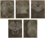 Furrows by Terry Winters, 1989, The complete set of five woodcuts in colors, on heavy wove paper, with full margins, all contained in the original hand-, sold Oct 2017