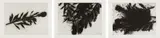 Donald Sultan, Black Roses (October); Black Roses (November); and Black Roses (December), 1989, Three aquatints, on Twinrocker Paper, with full margins